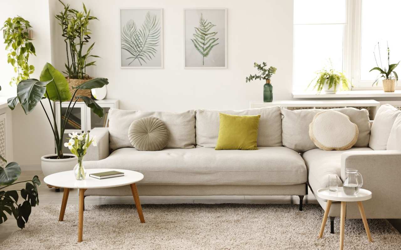 Feng shui ghid complet pentru armonie și echilibru în casa ta