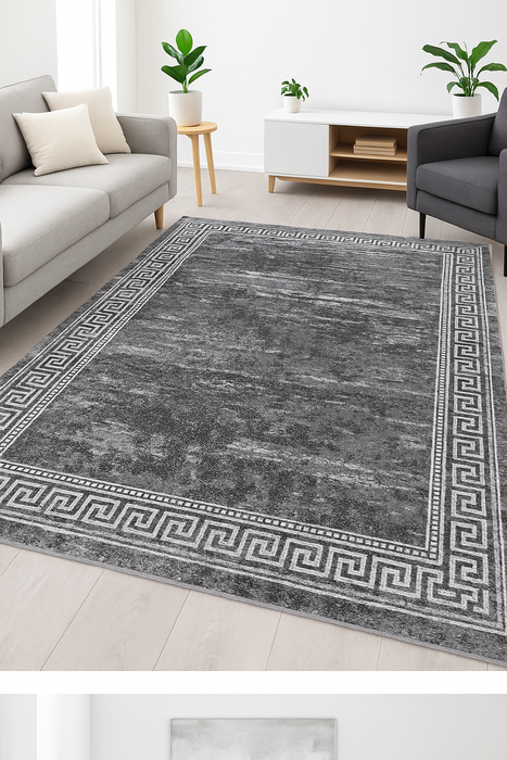 Covor Modern Mira 24001