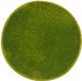 Covor rotund verde modern pentru living, cu design minimalist si aspect elegant