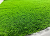 Iarba artificiala 40 mm verde pentru exterior gazon artificial pentru terasa si balcon