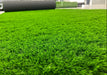 Iarba artificiala verde 40 mm textura deasa gazon artificial pentru curte si gradina