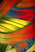 covor living modern colorat cu design abstract multicolor ideal pentru decor vibrant si spatiu elegant