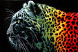 Covor modern pentru living cu leopard și design animal print colorat
