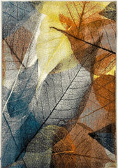 Covor Modern Kolibri 11288